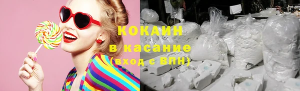 шишки Аркадак