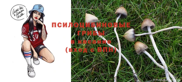гидропоника Армянск