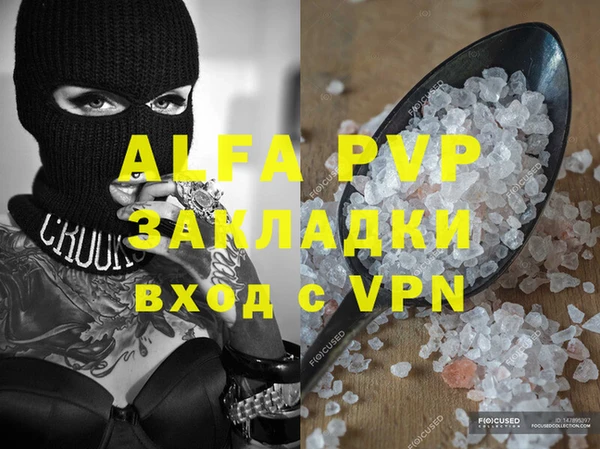 шишки Аркадак