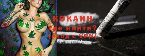 шишки Аркадак