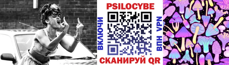 блэк спрут   Семёнов  Псилоцибиновые грибы прущие грибы 